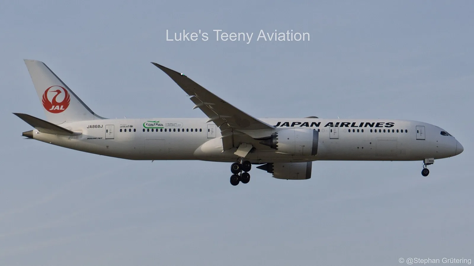 Japan Airlines (JAL) aircraft