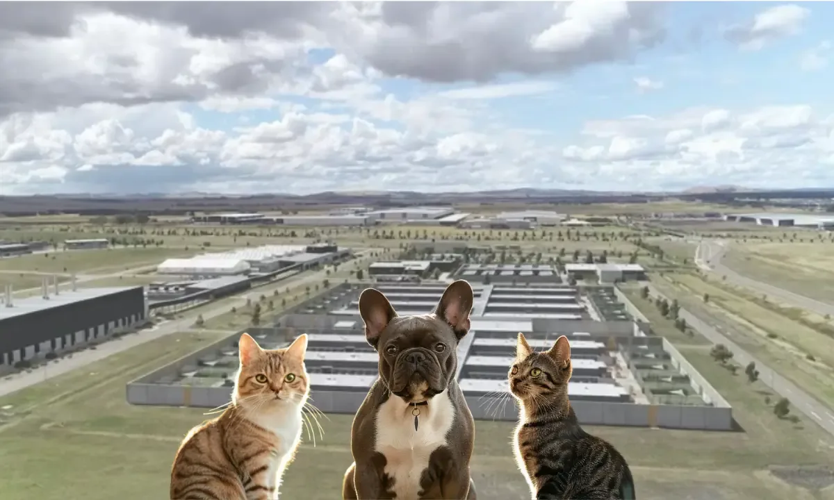 Dog airport arrival guide for Melbourne Tullamarine