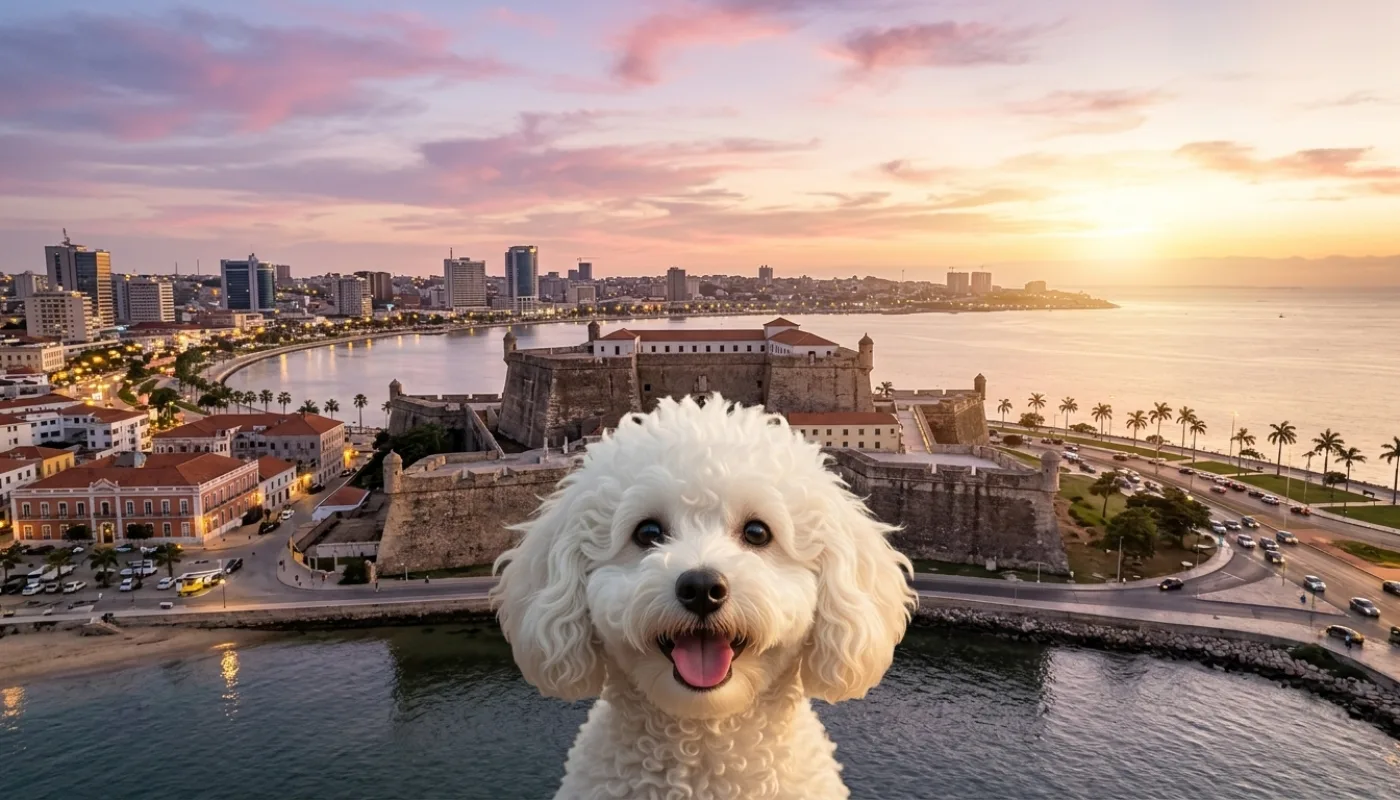 Dog travelling to Angola